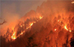 Uttarakhand Fire Under Control, Can’t Confirm Deaths: Rajnath